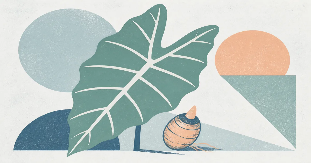 Geometric screenprint of an alocasia leaf silhouette on cool mist paper