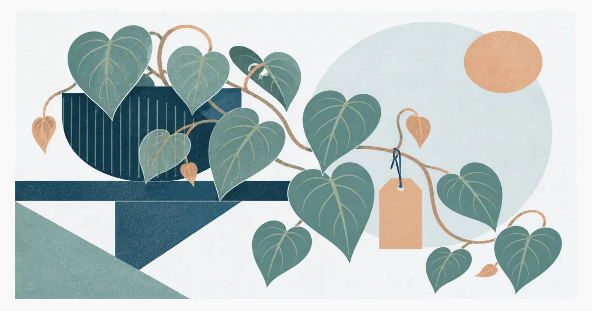 Geometric screenprint illustration of a trailing Philodendron micans vine with velvety heart-shaped leaves