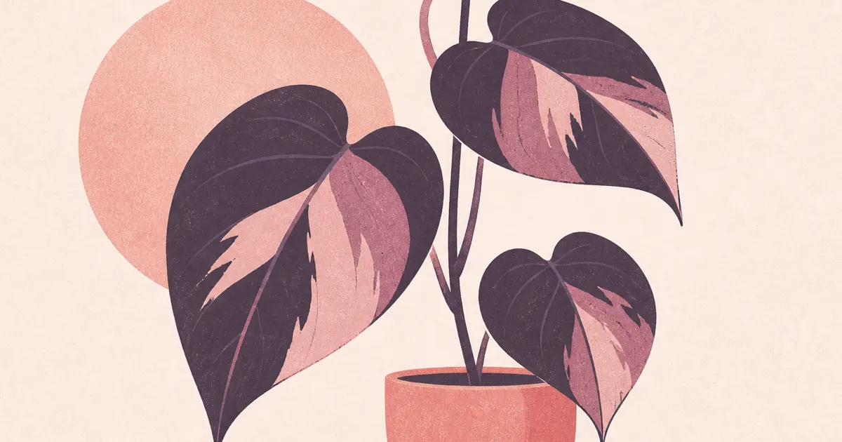 Geometric screenprint of heart-shaped pink and green Philodendron leaves on blush paper