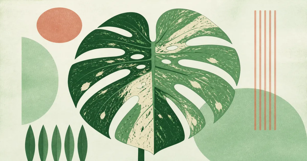Geometric screenprint illustration of a Monstera Thai Constellation leaf with cream speckles